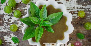 ткемали из крыжовника