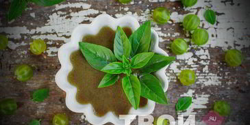 ткемали из крыжовника