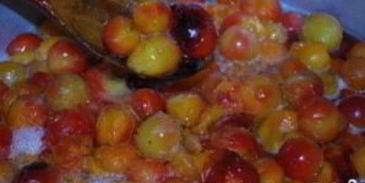 ткемали из слив на зиму