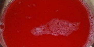 ткемали из слив на зиму