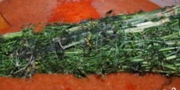 ткемали из слив на зиму