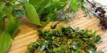 ткемали из слив