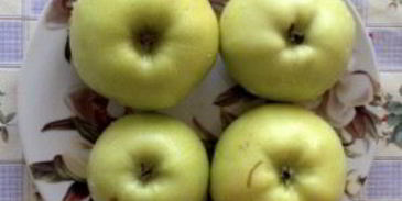 утка в соусе ткемали с медом