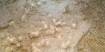 сырный соус из плавленого сыра