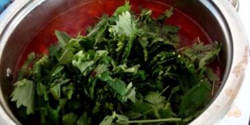 борщ из крапивы