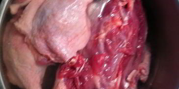 борщ с уткой