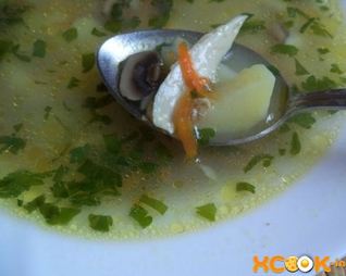 Грибной суп на курином бульоне