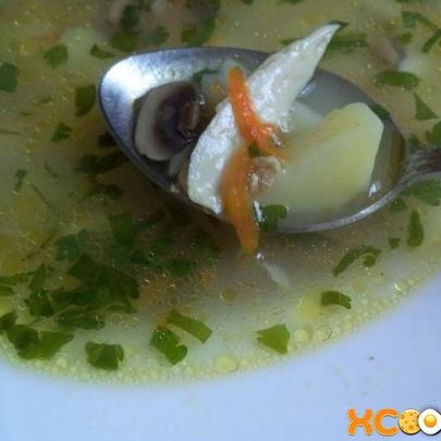 Грибной суп на курином бульоне