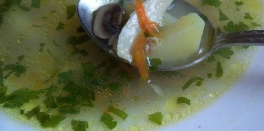 Рецепт грибного супа на курином бульоне