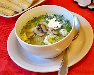 Грибной суп на мясном бульоне