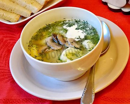 Грибной суп на мясном бульоне