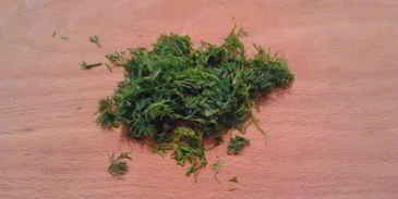 куриный бульон с вермишелью