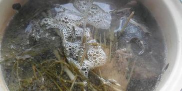 прозрачный рыбный бульон