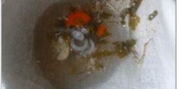 рыбный бульон