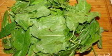 щавель на курином бульоне