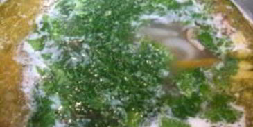 суп из белых грибов на курином бульоне