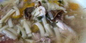суп из белых грибов на курином бульоне