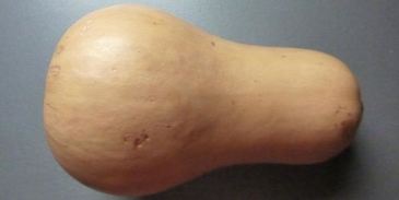 суп на курином бульоне с мускатной тыквой и луком