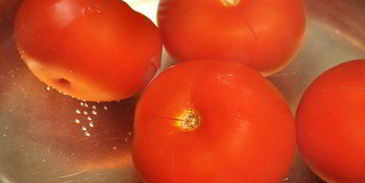 холодный томатный суп гаспачо