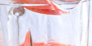 холодный томатный суп гаспачо