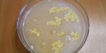 гороховый суп с курицей в мультиварке