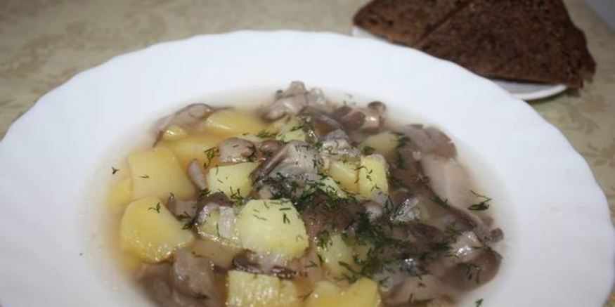Рецепт грибного супа из вешенок