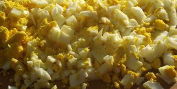 белорусский холодник