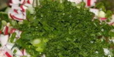 холодник классический