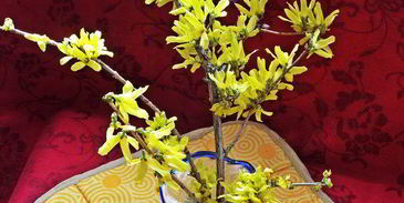 холодник на кефире с маринованной свеклой