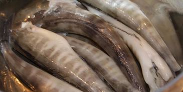 холодный рыбный суп