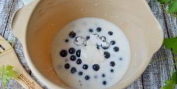 сладкий холодник