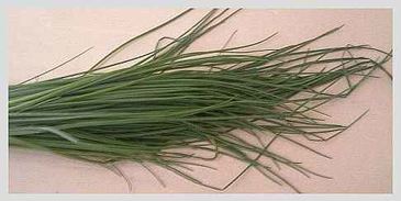 лагман со спагетти