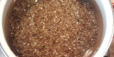 молочный суп с гречкой