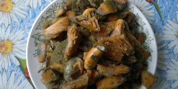 молочный суп с рыжиками