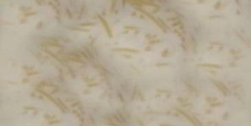 молочный суп с вермишелью для детей