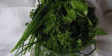 молочные супы