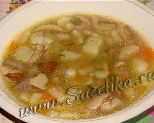 Похлебка из белых грибов