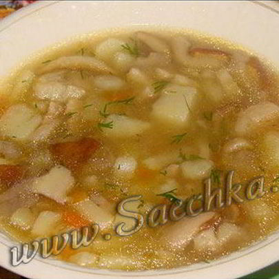 Похлебка из белых грибов