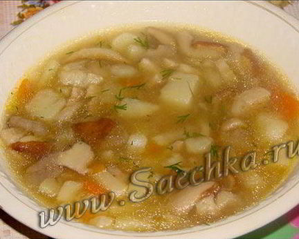 Похлебка из белых грибов