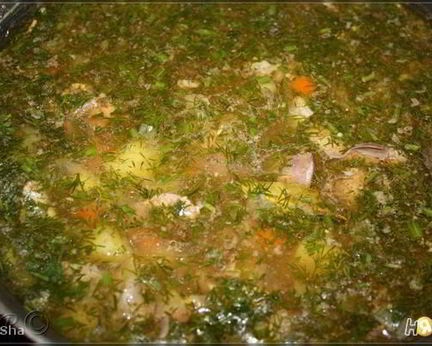 Похлебка русская