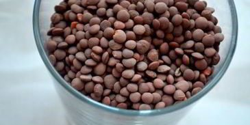 согревающая чечевичная похлебка с копчеными сосисками