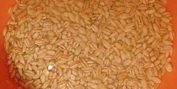 рассольник с телятиной и сушеными грибами