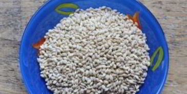 заправка для рассольника на зиму