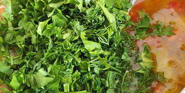 летние щи из свежей капусты