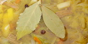 летние щи из свежей капусты