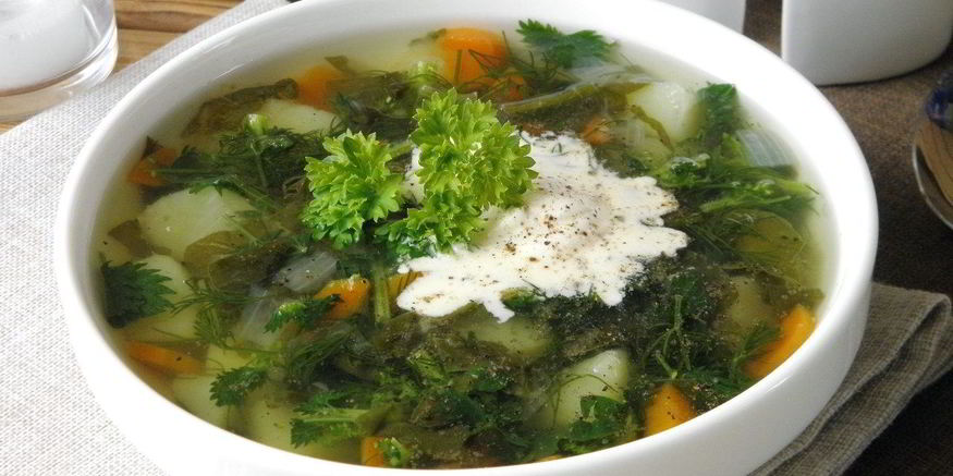 Рецепт щей из щавеля и крапивы