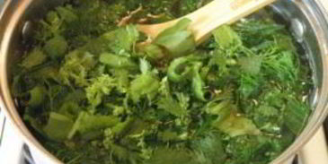 щи из щавеля и крапивы