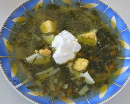 Щи из щавеля на курином бульоне