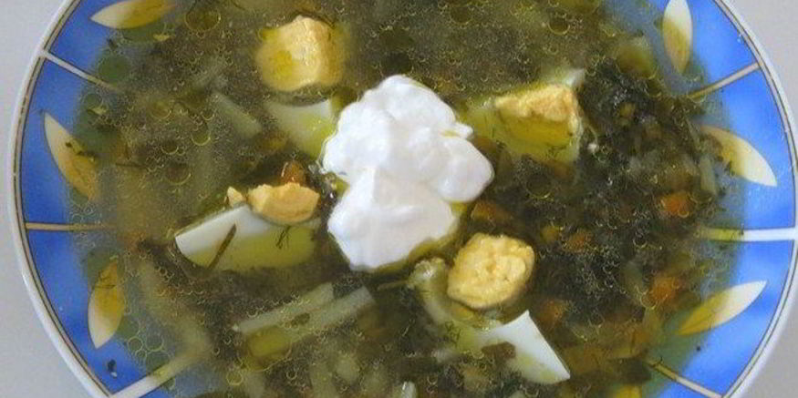 Рецепт щей из щавеля на курином бульоне