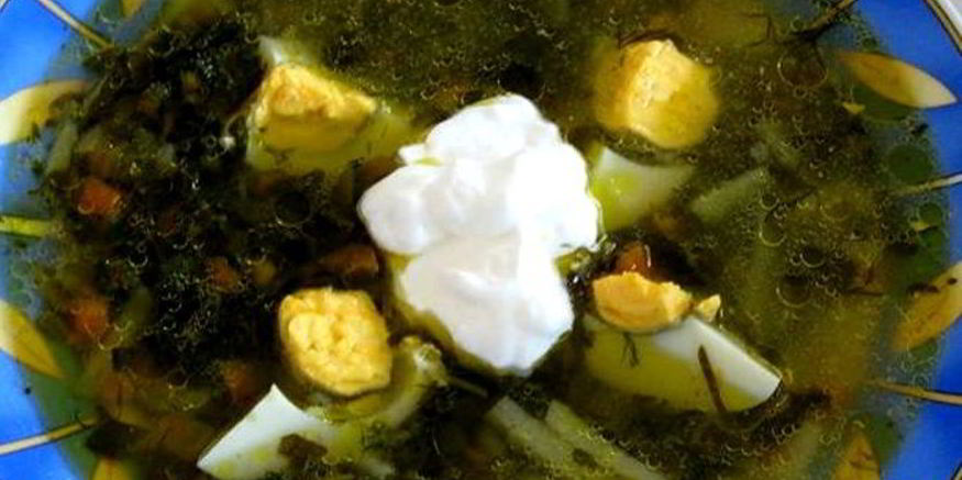 Рецепт щей из шпината